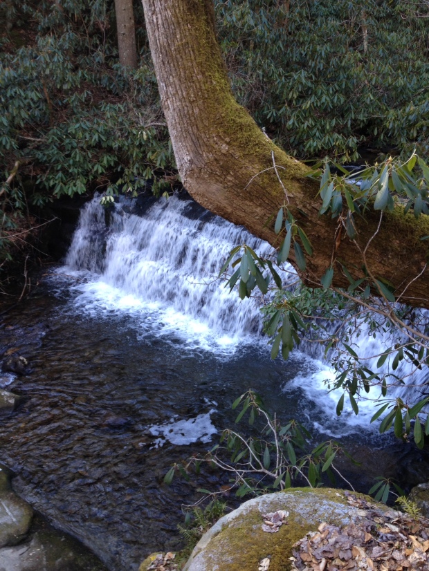 small waterfall on the path
